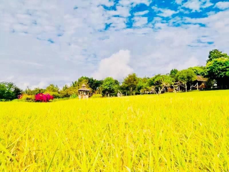 Vimarnkiri Resort Pai Ngoại thất bức ảnh
